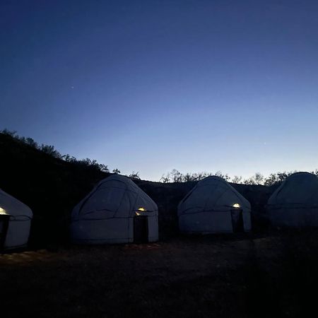 Nurota Kyzylkum Nights Camp & Family Yurt酒店 外观 照片